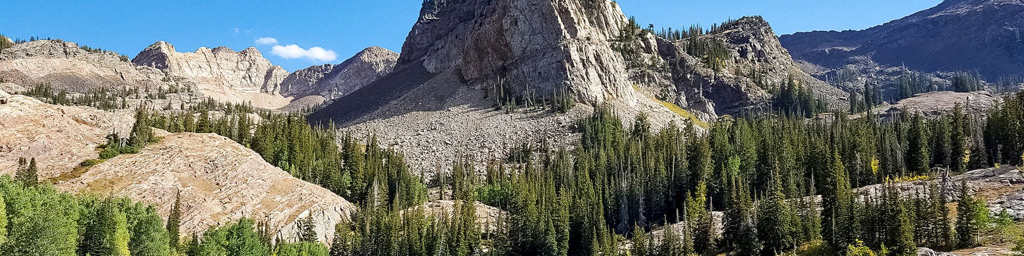 A dramatic mountain landscape with rocky peaks, dense evergreen forests, grassy valley, and a calm reflective pond under a blue sky.