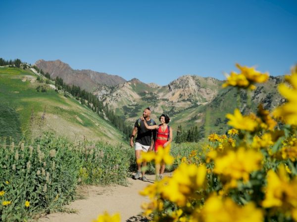 A couple strolls a dirt mountain path in a valley, framed by vibrant yellow wildflowers and steep rocky peaks.