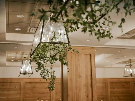 A bright restaurant interior with wooden walls and hanging glass planters filled with lush green vines, creating a natural decor look.