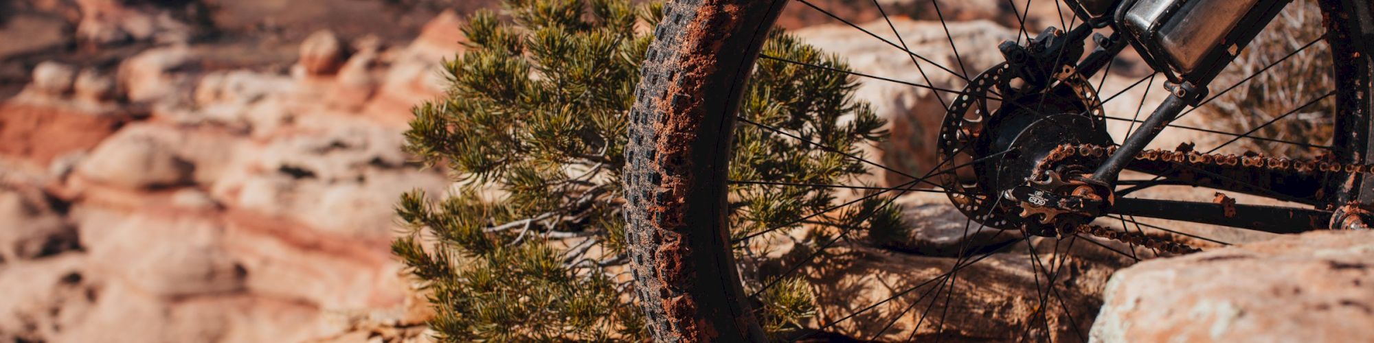 Rusty mountain bike wheel with disc brake in a rocky desert canyon landscape.