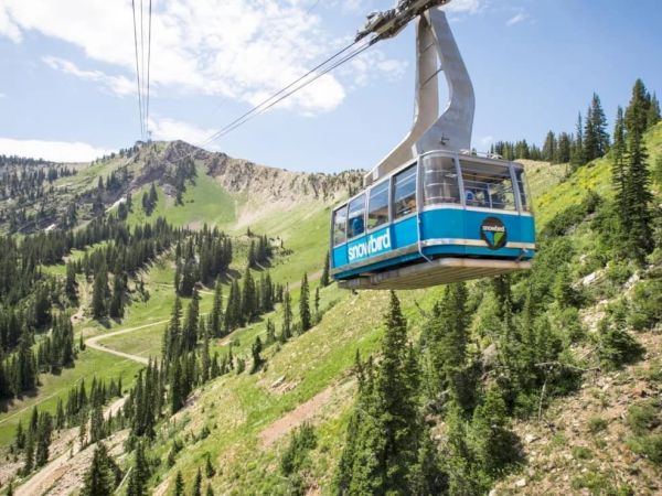 A blue gondola cable car travels over a lush alpine valley with forests and mountains under a bright blue sky.