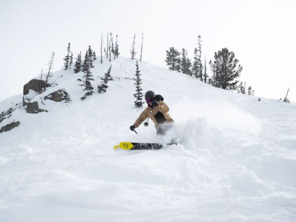 A snowboarder carves through fresh powder on a snowy mountain, sending a spray of snow as pine trees rise behind.