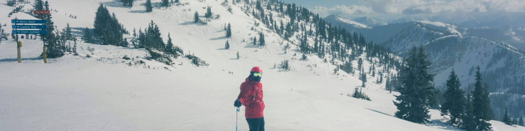 A skier in red stands on a snowy mountainside with poles, overlooking pine forests, peaks, and a blue sky with clouds.