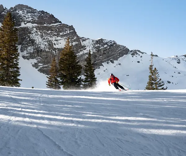A skier carves through fresh snow with pine trees and dramatic snowy mountains in the background.
