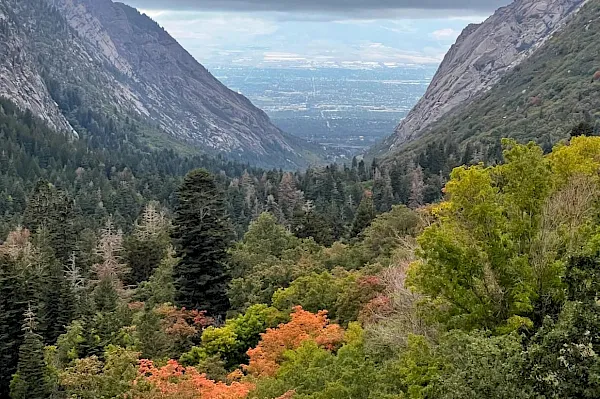 A wide valley view with steep mountains and lush forests in autumn colors, overlooking a distant city beyond.