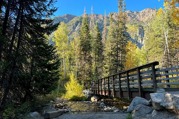 A wooden footbridge crosses a rocky stream through autumn forest with tall pines and mountains under a clear blue sky.
