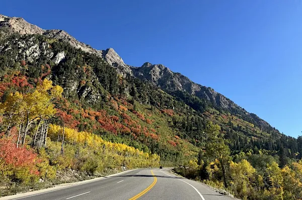 A winding mountain road cuts through autumn-colored trees with dark evergreen slopes and jagged peaks under a clear blue sky.