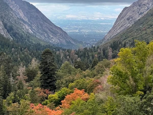 A scenic mountain valley with evergreen and autumn-colored trees, leading to a distant city under cloudy skies.