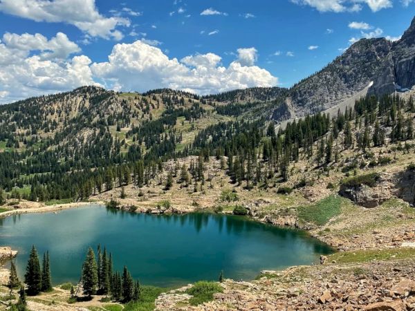 A turquoise alpine lake surrounded by pine forests and rocky mountains under a bright blue sky with scattered clouds.