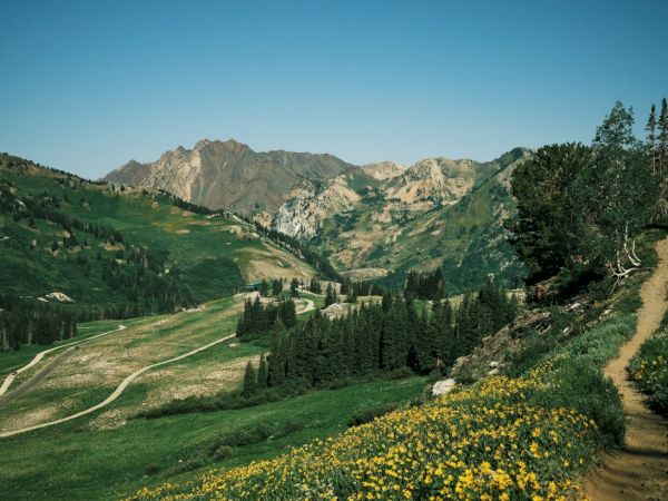 Snowpine Lodge