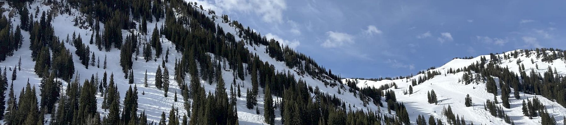 Snowy mountain ski slopes with dark pine trees, winding tracks, and a bright blue sky with scattered clouds.