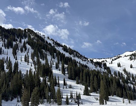 Snowy mountain ski slopes with dark pine trees, winding tracks, and a bright blue sky with scattered clouds.