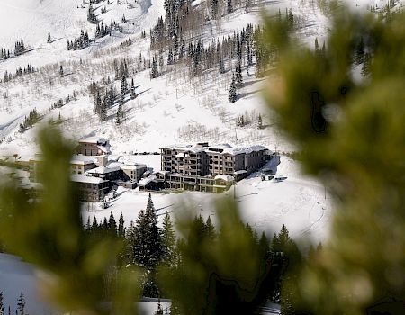 Snowpine Lodge