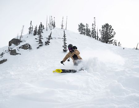 A snowboarder carves through fresh powder on a snowy mountain, sending up a huge spray with pine trees in the background.