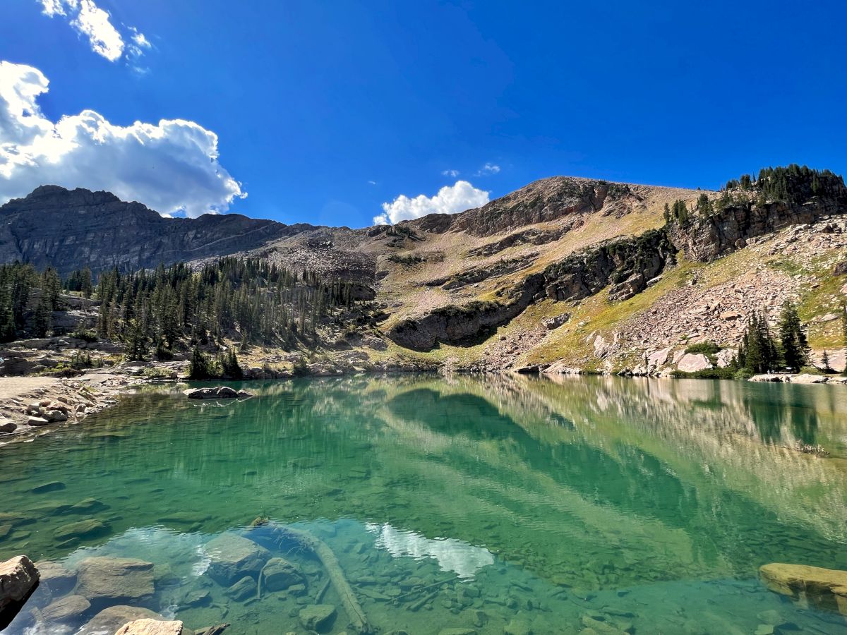 A clear alpine lake mirrors rugged mountains and pine forests under a bright blue sky with scattered clouds.