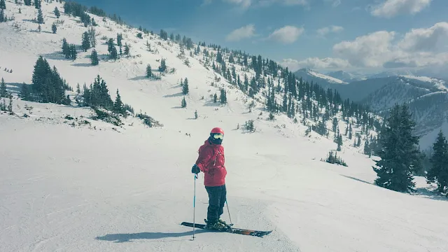 Snowpine Lodge
